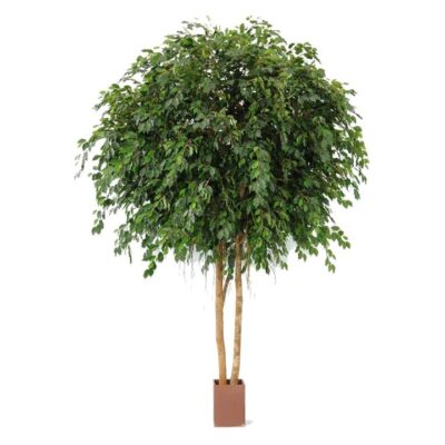 Potted Exotica Giant Artificial Round Topiary Ficus Tree, 305cm