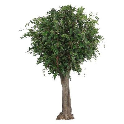 Exotica Giant Artificial Ficus Tree, 600cm
