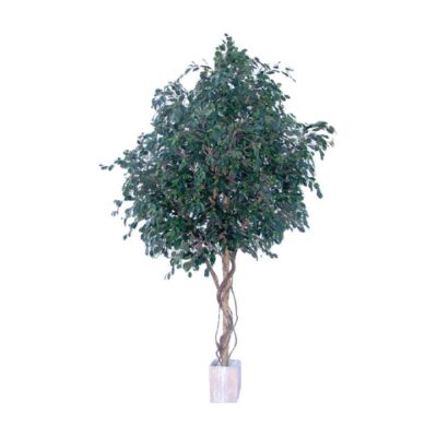 Potted Artificial Ficus Benjamina Tree, 305cm